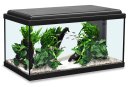 Aquatlantis Advance 60 LED Aquarium 60x30x34cm, 54L, schwarz
