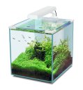 Aquatlantis Nano Cubic Aquarium Nano Cubic 30 LED weiss, 28.5x33.5x42cm, 40L