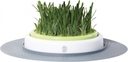Catit Design Senses Gras-Garten-Set Katzengras 24 x 24 x 13 cm, 746 g