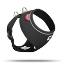 Curli Brustgeschirr Basic Air Mesh für kleine Hunde Halsumfang max. 22 cm, Brustumfang 28-40 cm, schwarz
