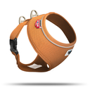 Curli Brustgeschirr Basic Air Mesh für kleine Hunde Halsumfang max. 26 cm, Brustumfang 32-46 cm, orange