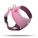 Curli Brustgeschirr Basic Air Mesh für kleine Hunde Halsumfang max. 22 cm, Brustumfang 28-40 cm, pink