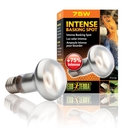 Exo Terra - Intense Wärmespotlampe R20/75W