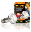 Exo Terra - Intense Wärmespotlampe R20/50W