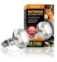 Exo Terra - Intense Wärmespotlampe R25/100W