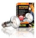 Exo Terra - Intense Wärmespotlampe 25 W
