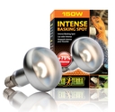Exo Terra - Intense Wärmespotlampe R30/150W