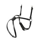 Reithalfter Mexikanisch Pony, schwarz