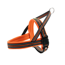 HUNTER Norwegergeschirr Meldal S: Hals 35 cm, Bauch 37 - 44 cm, Breite 2,0 cm, orange