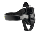 Hunter Norwegergeschirr Neopren Ranger Professional XS: Länge 35 - 45 cm, Breite 3,0 cm, schwarz