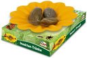 Insekten Tränke Insektentränke