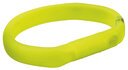 Leuchtband für Hunde USB breit M–L: 50 cm/18 mm, grün