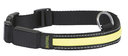 Leuchthalsband für Hunde Light & Reflex Hals 34-41 cm, 2,5 cm breit
