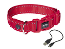 Nobby LED Leuchthalsband Starlight FLASH MESH XS-S: L: 28-38 cm, B: 20 mm, rot