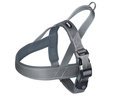 Norwegergeschirr Hunde Classic Preno Royal S - M: Bauchumfang 38-50 cm Brustgurt 36 cm, Breite 20/25 mm, grau
