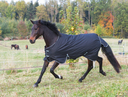 Covalliero Winter Pferdedecke RugBe IceProtect 200 Gr. 105 cm, schwarz