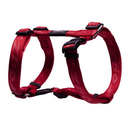 Rogz Alpinist H-Geschirr für Hunde Kilimanjaro Gr. S: Halsumfang 20 - 24 cm, Brustumfang 23 - 37 cm, rot