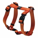 Rogz Utility H-Geschirr für Hunde Nitelife Gr. S: Halsumfang 20 - 34 cm, Brustumfang 23 - 37 cm, orange