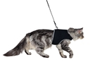 Softgeschirr XXL mit Leine Bauchumfang: 36-54 cm, schwarz