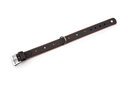 Sternfalbe Lederhalsband für Hunde Gr. 35: 24,5-30,5 cm Breite: 25 mm - schwarz-braun