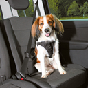 Trixie Auto Sicherheitsgeschirr Hund Dog Protect S–M: Brust 40–55 cm/20 mm, schwarz