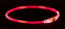 Flash Leuchtring für Hunde USB S-M: 40 cm/ø 8 mm, rot