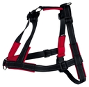 Trixie Lead'n'Walk Soft Erziehungsgeschirr XS-S: Bauchumfang: 37-54 cm/20 mm