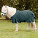 Regendecke für Shetland Ponys 70 cm, tannengrün