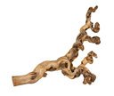 Weinreben wassergestrahlt XL 50–80 cm
